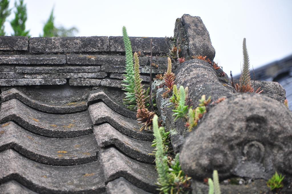 Soi Hanok Stay Gyeongju Exterior photo